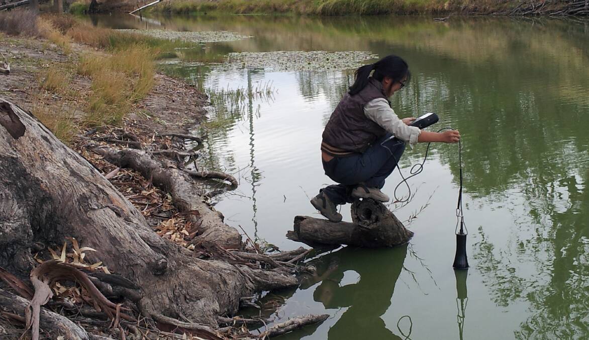 CSU's Xiaoying Liu collecting water quality data in the Wakool River near Barham on March 28. Picture: ROBYN WATTS