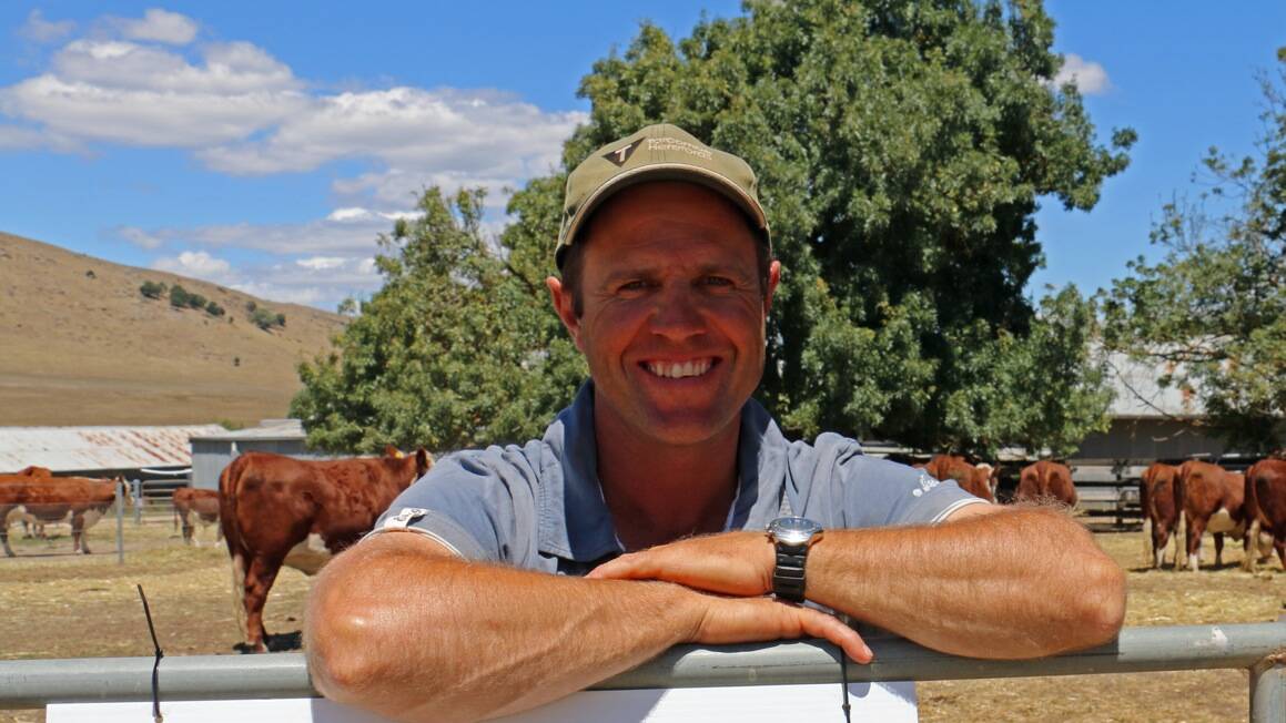 Tim Hayes, Tarcombe Herefords, Ruffy, will artificially inseminate (AI) 120 cows in June. 