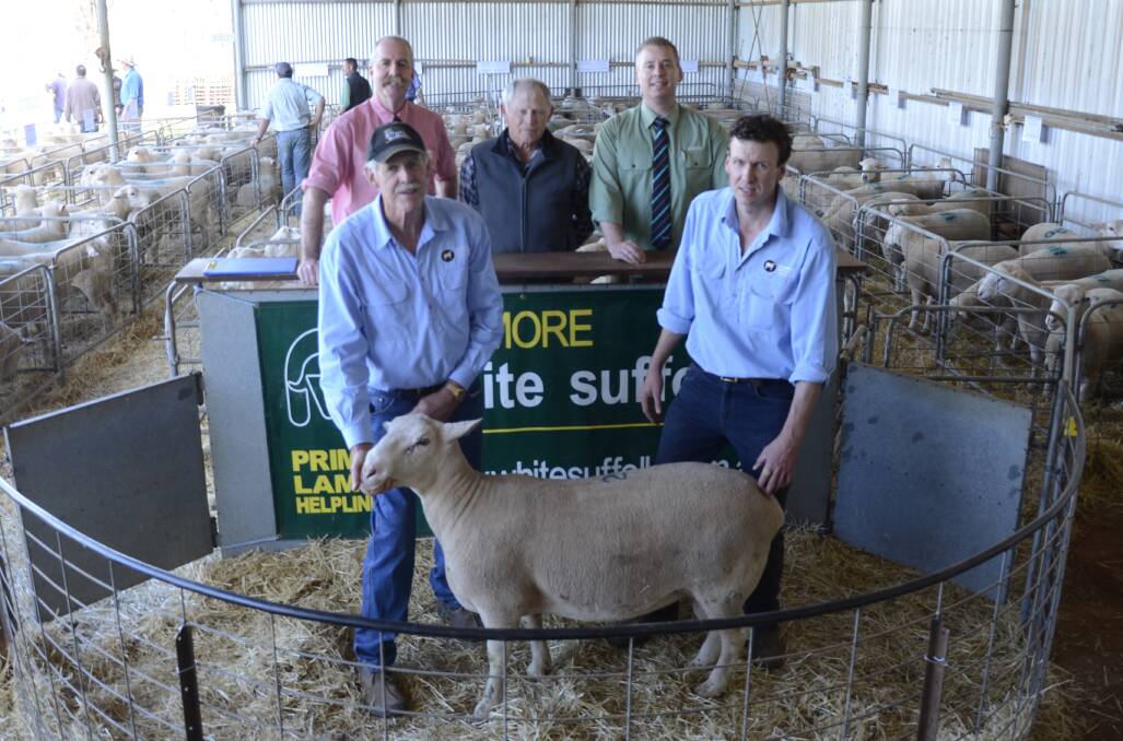 SOUGHT AFTER: Elders' Tom Penna, top ram buyer Trevor Kennett, Landmark's Gordon Wood (back), with Ashmore principals Brian and Troy Fischer, and the $3800 top price White Suffolk ram.