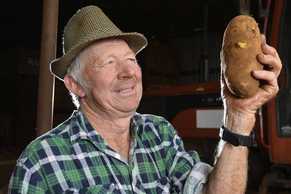 FRESH: Potato farmer Bernie White sells his potatoes fresh, usually within a week from being dug from the soil. Picture: Dylan Burns. 