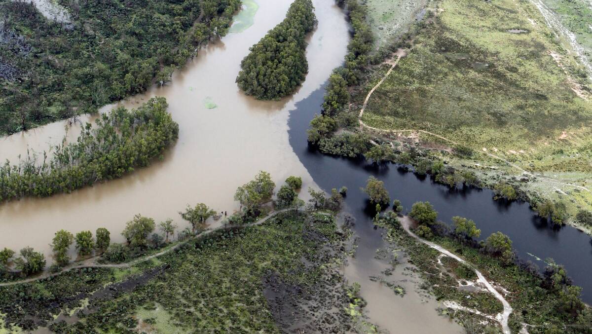 NATURAL PHENOMENON: Blackwater has made its way down the River Murray system and reached SA waters.