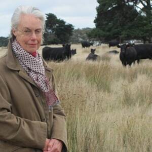 Devon Park beef producer Susie Clarke (pictured) will join 600 black Angus-cross cows to Shorthorn bulls to retain the breed’s traits within her herd, such as fertility, milking ability, fleshing ability and not excessive size.