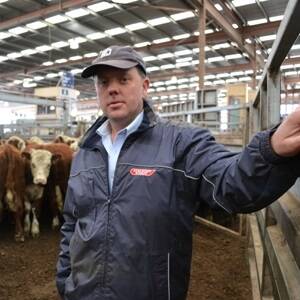 Neil Darby's first experience of exporting cattle to Turkey turned out to be disappointing.