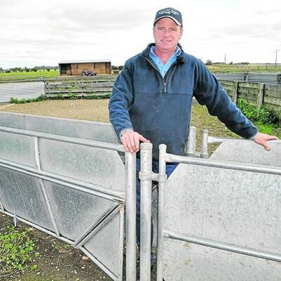 HANDLING EASE: Ben Stark, Naracoorte, installed an Atlex adjustable tapered drafting race with 360-degree gate hinges, to his new sheepyards when they were built a decade ago. In December, 2009, he also bought an AT3RO Sheep handler which enables him to weigh lambs and draft them three ways.