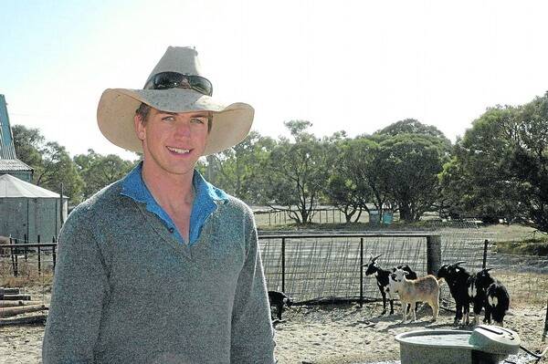 FINDING FOCUS: Pastoralist Angus Seekamp runs 2100 White Dorper and 2100 White Dorper-Damara ewes at Woolcunda and Warwick stations and hopes to increase numbers to full capacity - about 6000 ewes - by the end of the year.