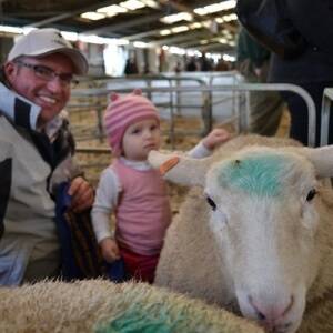 Prime lamb producer Ed Archer at the Campell Town Show recently.