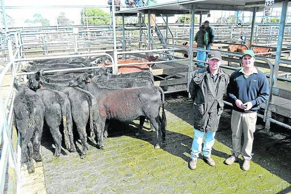 FINDING MARKETS: Cygnet Park, Kangaroo Island and Balquihidder station, Parawa, manager Richard Snoswell (pictured with selling agent Bradley Walker, Landmark, Strathalbyn) sold light-weight steers and heifers at the September monthly store sale in Mount Gambier to $675.