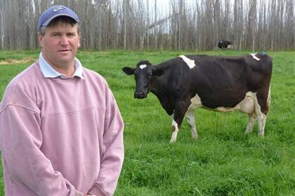 Dairy farmer Andrew Lostroh, Blighty, NSW, said British Holsteins had boosted the fertility and longevity of his herd.