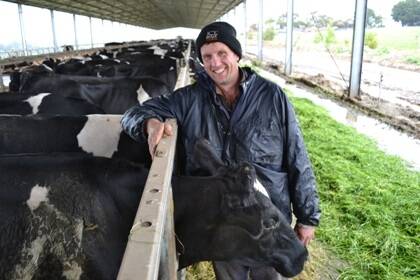 NILMA dairy farmers John and Cobie Giliam are finally seeing the benefits of installing a free-stall shed to house their dairy herd through the wetter months.