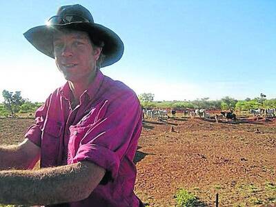 NT producer Sandy Warby is one of five landholders involved in an ear tag trial.