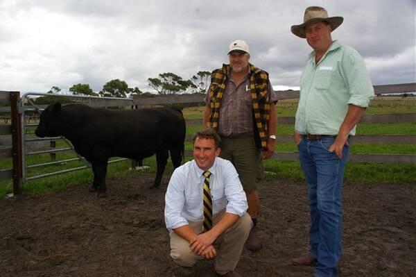 Antu principal John Tucker Jnr (right) with Roberts Launceston stud stock manager Tim Woodham (front) and Rod Williams who bought the top price bull for $7250 on behalf of Dave Harvey, King Island.