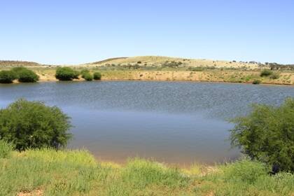Balfour Downs has 35 new ring dams of 15,000-20,000 cu metres of water storage and 55 new bores equipped with mills and submersible pumps. The comprehensive water improvements are supported by permanent and semi-permanent rivers, creeks and lagoons.