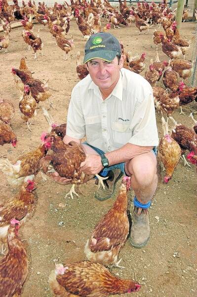 SAFF poultry committee chair and Tarlee free-range egg producer John Rohde said the South Australian egg industry was able to reach some agreement regarding the issue of free-range eggs at a meeting in Adelaide last week.
