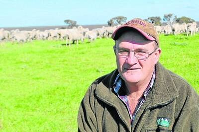 Tolmer Rocks feedlot owner David Head says Dohne-cross lambs are some of the best-performing in their feedlot.