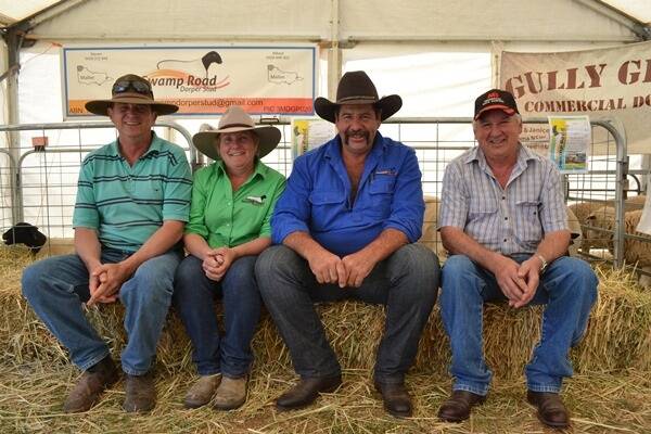 Chris Evans, Gully Green, Moama, NSW, Steven and Cindy Freckleton, Swamp Road, Mildura, and Graeme Collins, Merribrook, showing off their Dorper sheep at the Elmore Field Days last week.