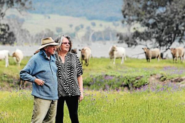 Peter and Gina Sutherland refuse to pay a lease on underwater land. Picture: MATTHEW SMITHWICK
