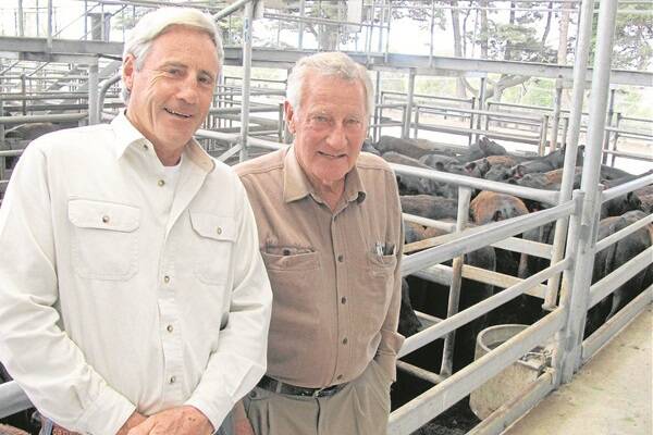 Woody Group proprietor Barry Wood, Canni Creek, was very pleased with his sale of 69 Angus steers, which are pure Lawson blood.