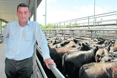 John Mitchell, Towong Hill Station, Corryong, at last year's weaner sales.