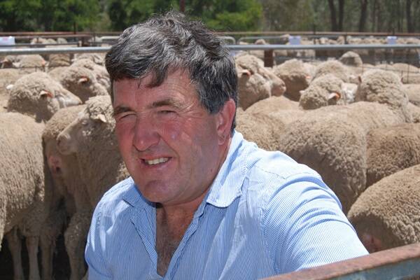 Victorian stud breeder John Barty, Beverley Merino stud, Redesdale, will judge the superfine section at the annual Great Southern Supreme Merino Show.