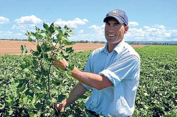 Brendon Warnock, “Warilea”, Narrabri, is optimistic his cotton season will end on a high note. This season Mr Warnock planted a total of 834 hectares of Sicot 71 and 74BRF and is confident his crop will yield an average 10 bales a hectare.