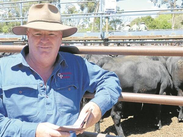  Corcoran Parker Wodonga agent Rod Potter secured 78 Angus first-calf heifers, av $839, a head at Euroa for Burrongong Station at Urana, NSW. He said last year the Riverina property sold all its calving heifers and this year they were buying more in. “Things have changed,” he said.