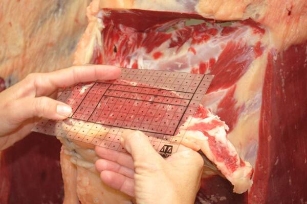 Red meat exports to China lift