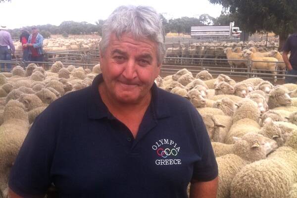 Trevor Allan, Thalia, west of Wycheproof, bought 140 Merino ewes for $100 at last week's Wycheproof store sheep sale.