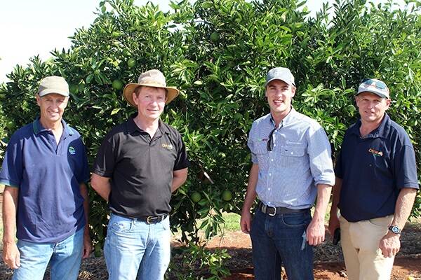 Glenn Morris, grower, Andrew Harty, Citrus Australia, Darryl Stretton, Bayer CropScience and Kym Thiel, Citrus Australia, at one of the forums.