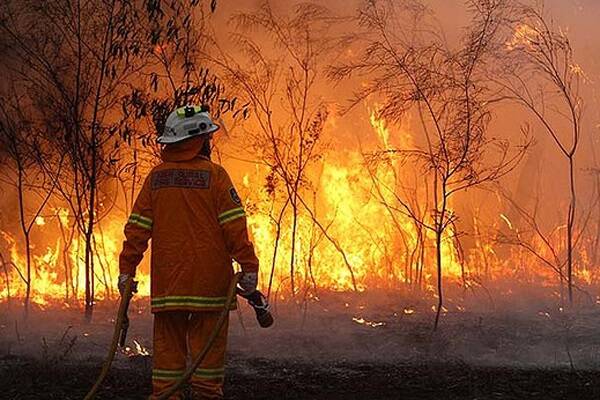 Online community for bushfire appeal