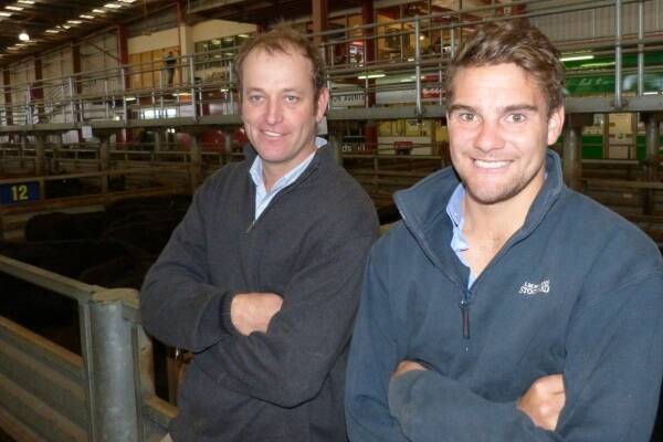 Princess Royal Station Feedlot, Burra, South Australia, are currently aiming to feed 6000 steers. Representing Princess Royal Station was livestock co-ordinator Luke Bavistock and Jack Rowe, son of the owner. Buying 69 steers at Monday's fat cattle market required them to stay on and fill a truck.