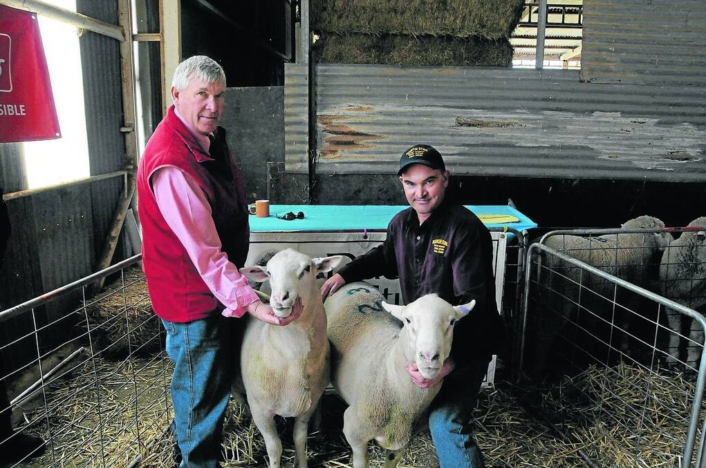 BEST BOYS: Elders Karoonda's Chris Muenster and Duenclin co-principal Clinton Huxtable with the two top-price rams bought by MR&DJ Anderson.