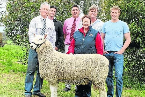 NATIONAL RECORD: Trevor and Lachie James, Coolawang, Mundulla; Elders auctioneer Laryn Gogel; Judy James; and Craig and Josh Graham, Glencorrie Border Leicester stud, Maitland, admire Coolawang 120088, the $18,200 record-price Border Leicester ram purchased by the Grahams at the annual Coolawang ram sale.
