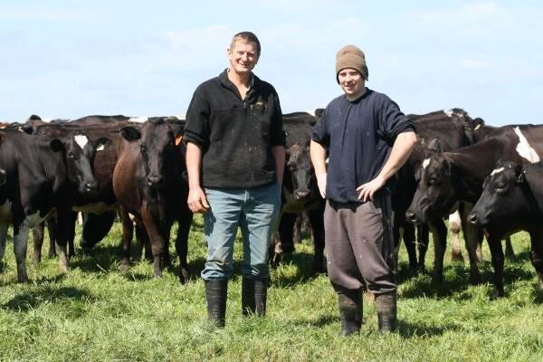 John Versteden (left) and Chris Pallot getting to work among the cows.