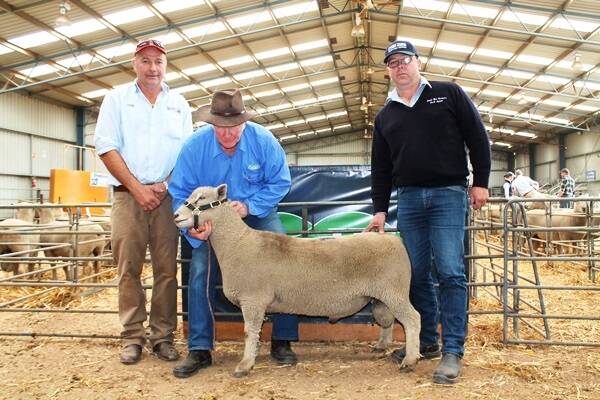 LMB Linke agent John Uebergang, Clear Hills sutd principal Graeme Hooper and buyer of the top valued 82 kilograms ram that recorded a 7.1mm fat score and 42mm eye muscle depth, Michael Goldby of South West Farmers, Portland.