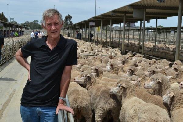 Greg Holmberg, Elmore, received the top price for ewes at Bendigo yesterday, selling 211 Merinos, May-June 2012 drop, Pooginook-bld, to $154.