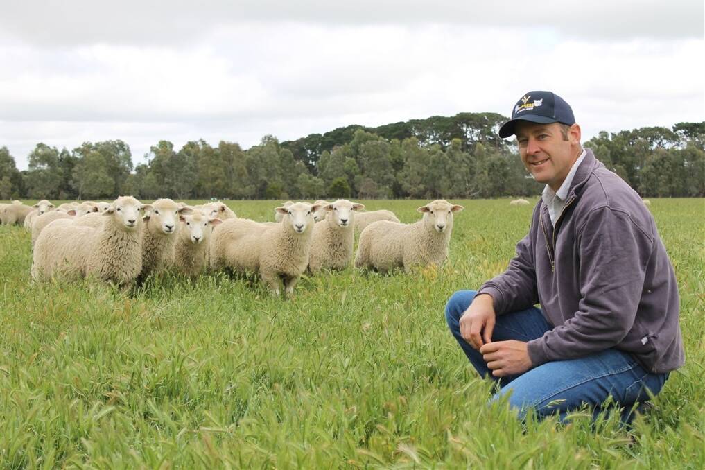 Josh Walter uses a combination of nutrition, genetics and management to increase profitability at Murnong farms.