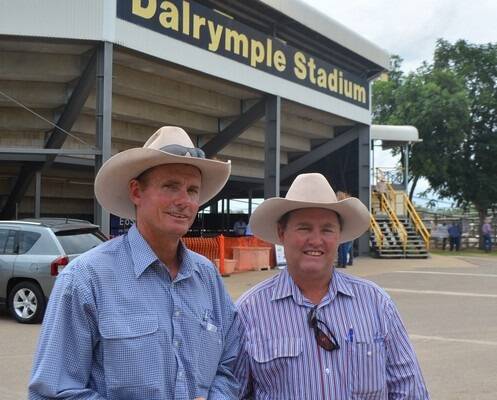Featuring nearly 200 grey bulls, the Wilangi sale presented an outstanding  genetic line-up.