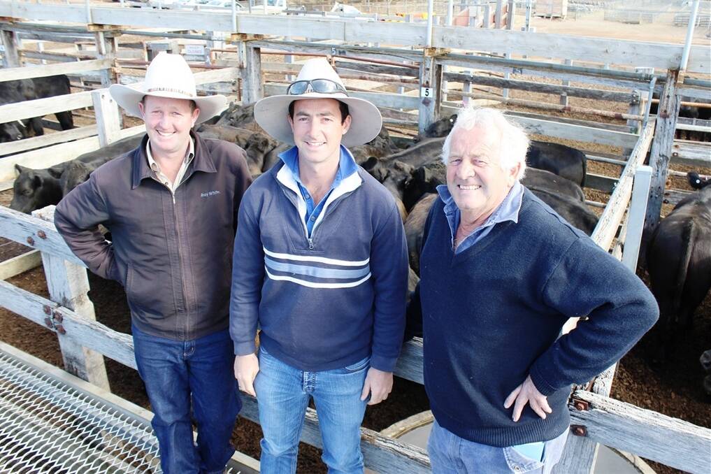 Ray White Keatley, Mt Gambier agent Scott Creek with Brad and Colin Creek of Benara Pastoral Company that sold 276 Angus and black baldy steers to $750. 