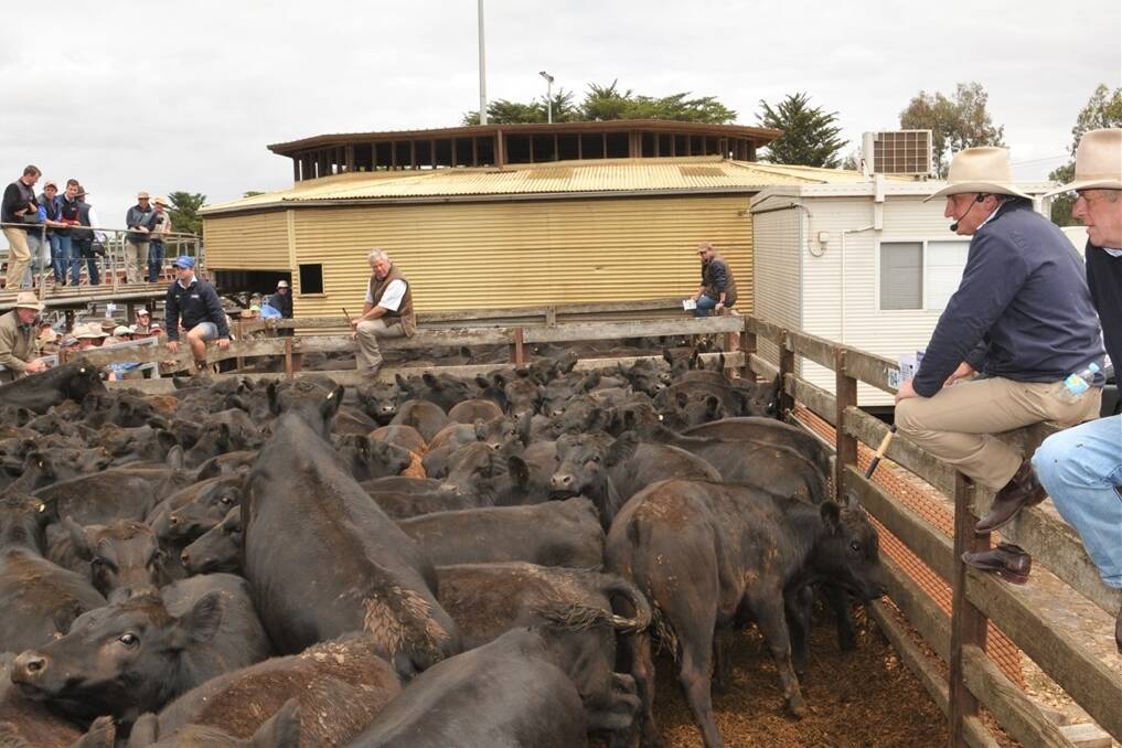 Selling of the 113 Athlone South steers weighing 314 kgs weaned for 4 weeks and making 199 cents per kg.