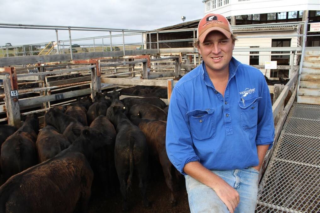 David Maconochie, Hopkins River Beef, bought three pens of Benara Angus steers.