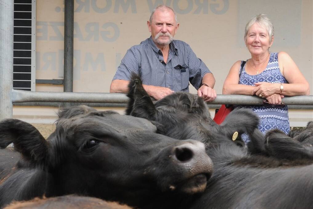 Andie and Trish Croome, Baarmutha, Beechworth, sold 24 Merrawarra-blood Angus steers, averaging 400 kilograms at 14 months old, for $692 at the opening Wodonga weaner sale on Thursday last week. 