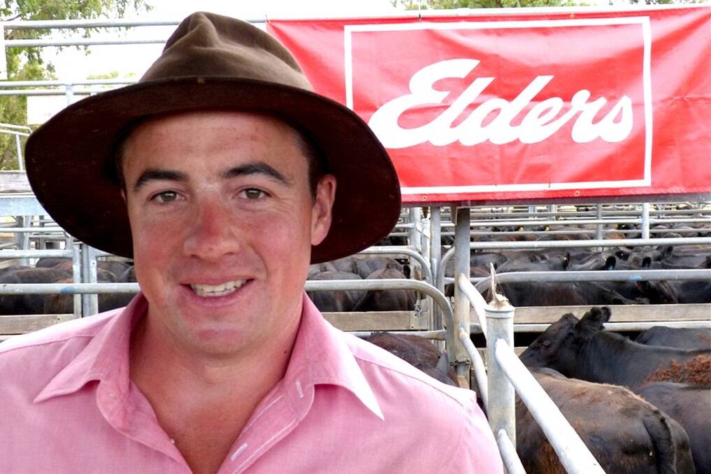 Elders auctioneer Brett Shae said numbers were down following the current price trends but the extra competition for heifers created a stronger sale.