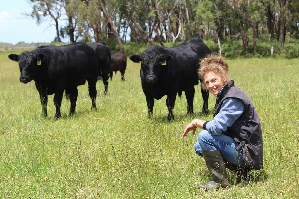 Chelma Simmangus principal Chris Koch-Jones pictured in front of Simmangus Bonnie Dale Kansas (Coonamble S3 son, and dam Bonnydale Georgia C219) sons. They’re 10 months, weighing more than 400kgs.
