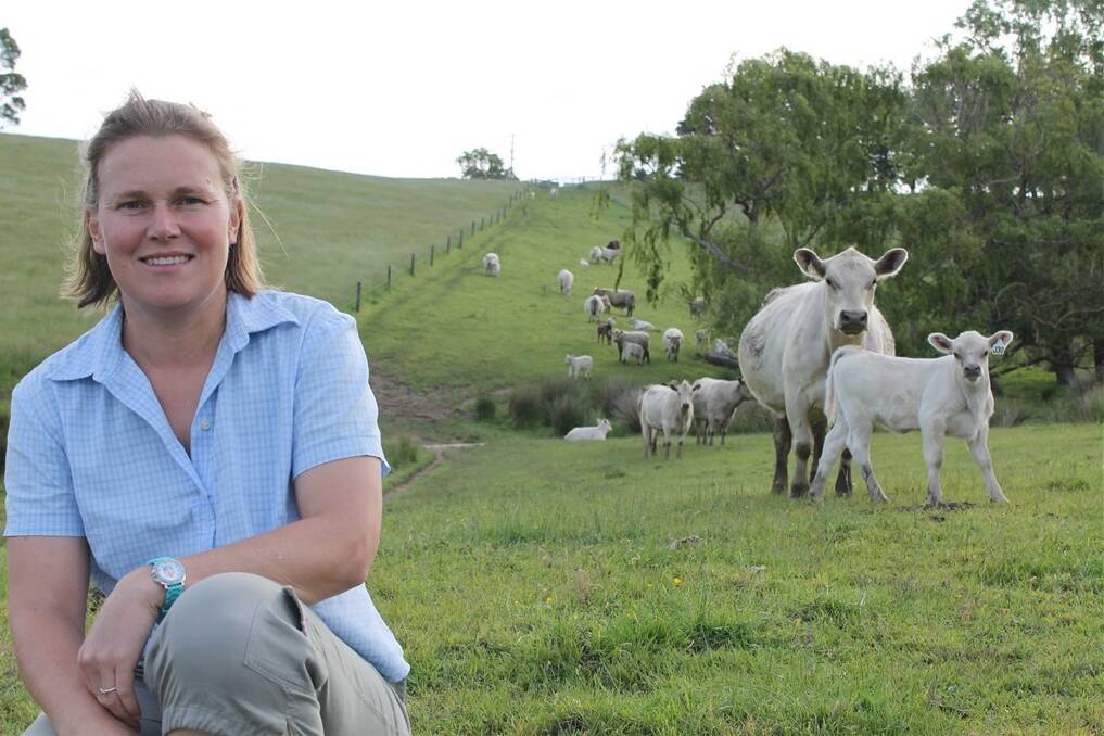 Emma Joy, co-principal of Highbury Square Meaters at Fish Creek, with a herd of breeding cows, which includes a 15-year-cow still producing calves.