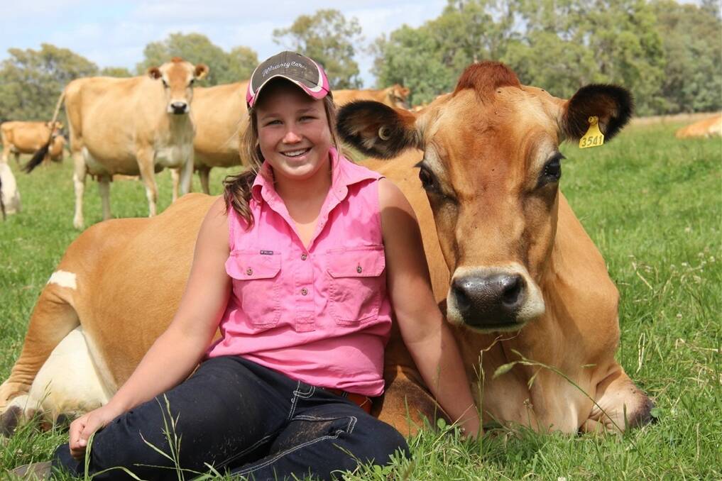 Ellie Hourigan, Milawa, is preparing six-month-old heifer Darryn Vale Vanahlem’s Glory for the ABS Australia/Ridley All Breeds National Youth Show.
