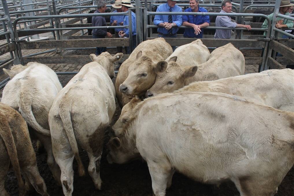 TA&DE Richardson's eight Angus-Charolais heifer calves topped the weaner market at Colac, selling to $640.  