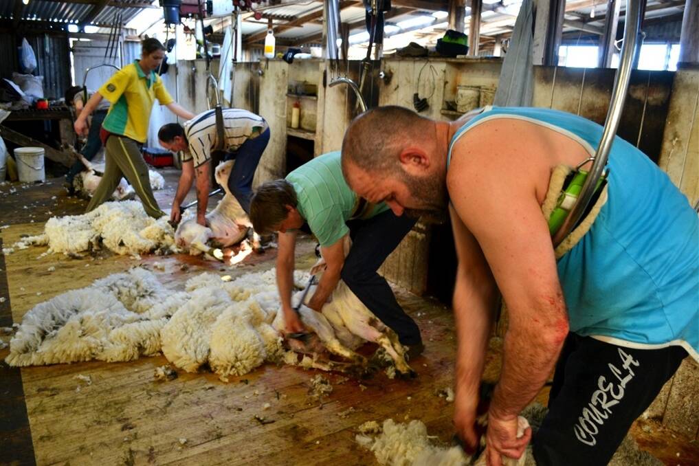 Nominations are being sought for the Australian Shearers Hall of Fame.