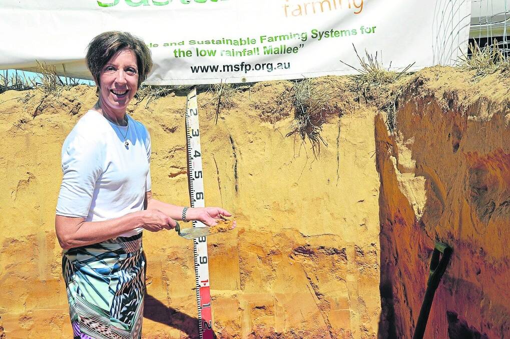 DISTINCT LAYERS: Agriculture Minister Gail Gago examines distinct layers in a soil pit after launching the New Horizons project at Karoonda.