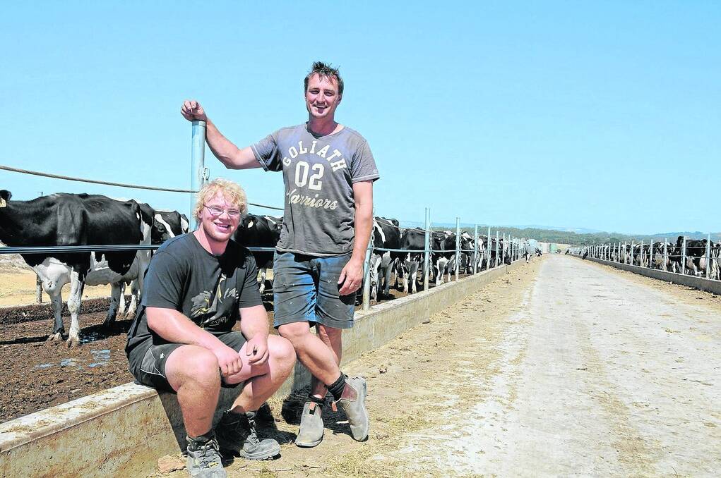 SEASON’S GREETINGS: Inman Valley dairyfarmer Tristan Mulhern (right) noticed an improvement in feed wastage when his feedpad became operational at Christmas time. He is with employee Hubertus Nieder, Germany.