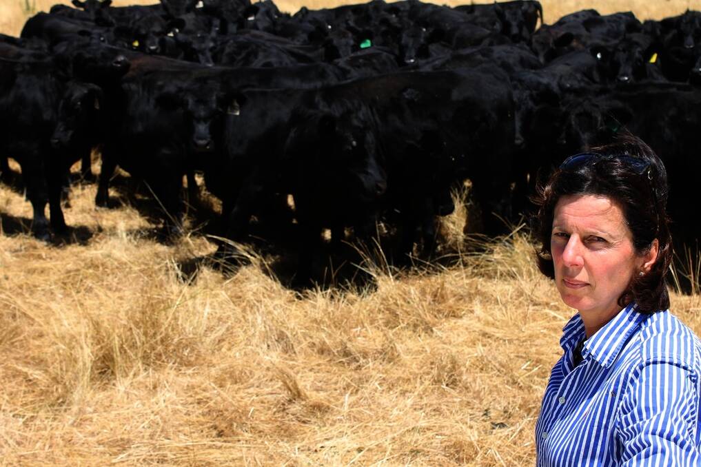 Brigid Robertson achieved third, fifth and seventh place in the 2014 NSW Beef Spectacular Feedback Trial.